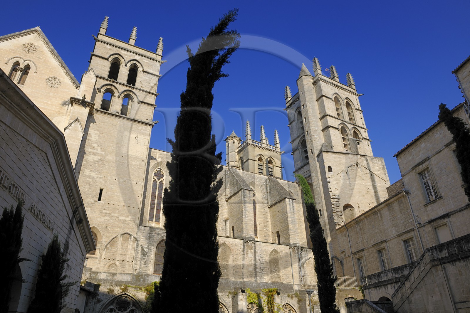France, Hérault (34), Montpellier, centre historique, la cathédrale Saint Pierre