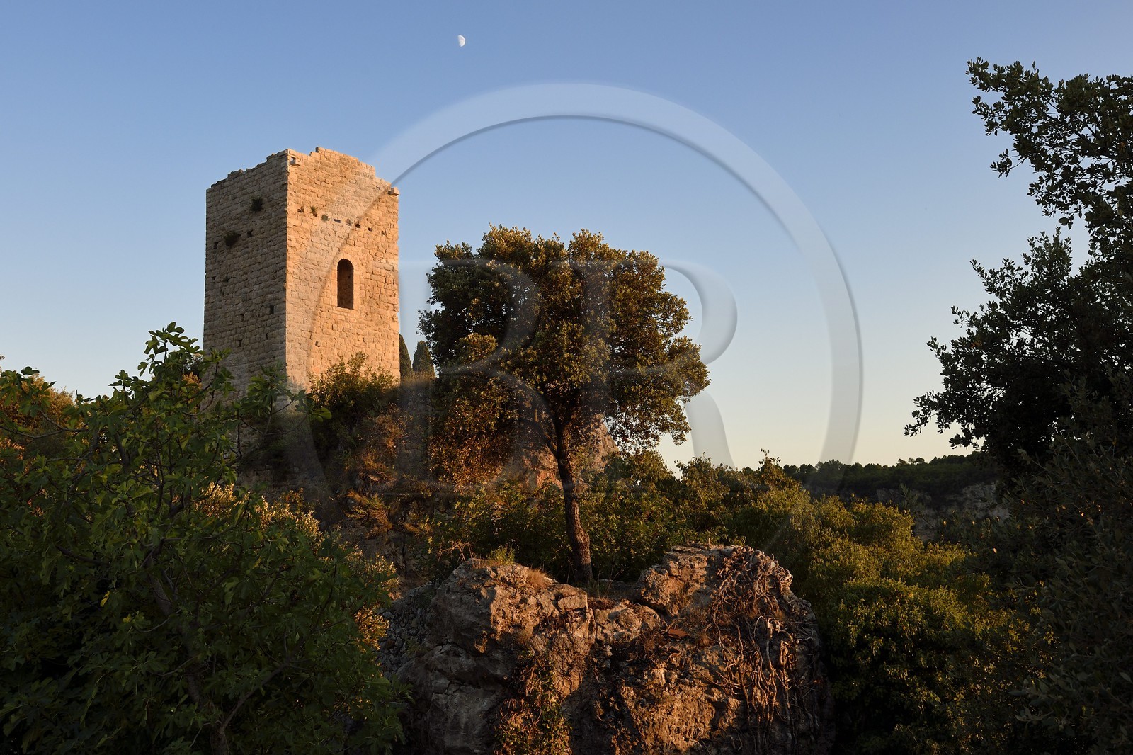 France, Var, the Dracenie, village of Chateaudouble, ruins of the Saracen tower of the 8th century