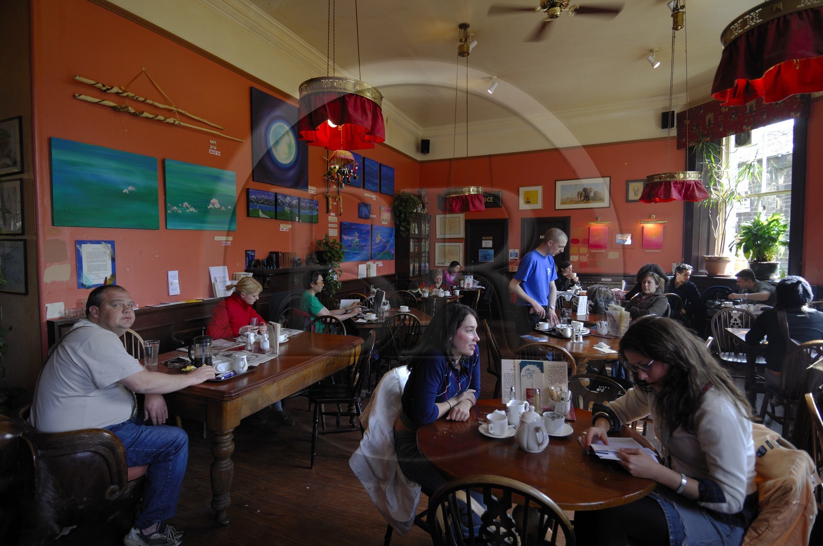 Royaume-Uni, Ecosse, Edimbourg, l' Elephant House, pub où JK Rowling écrivit le premier Harry Potter