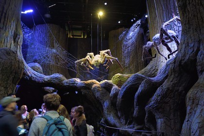 Royaume-Uni, Hertfordshire, Leavesden, Leavesden Film Studios, Harry Potter Studio Tour London, les coulisses du tournage des 8 films de Harry Potter, les araignées géantes Aragog dans la mythique Forêt Interdite