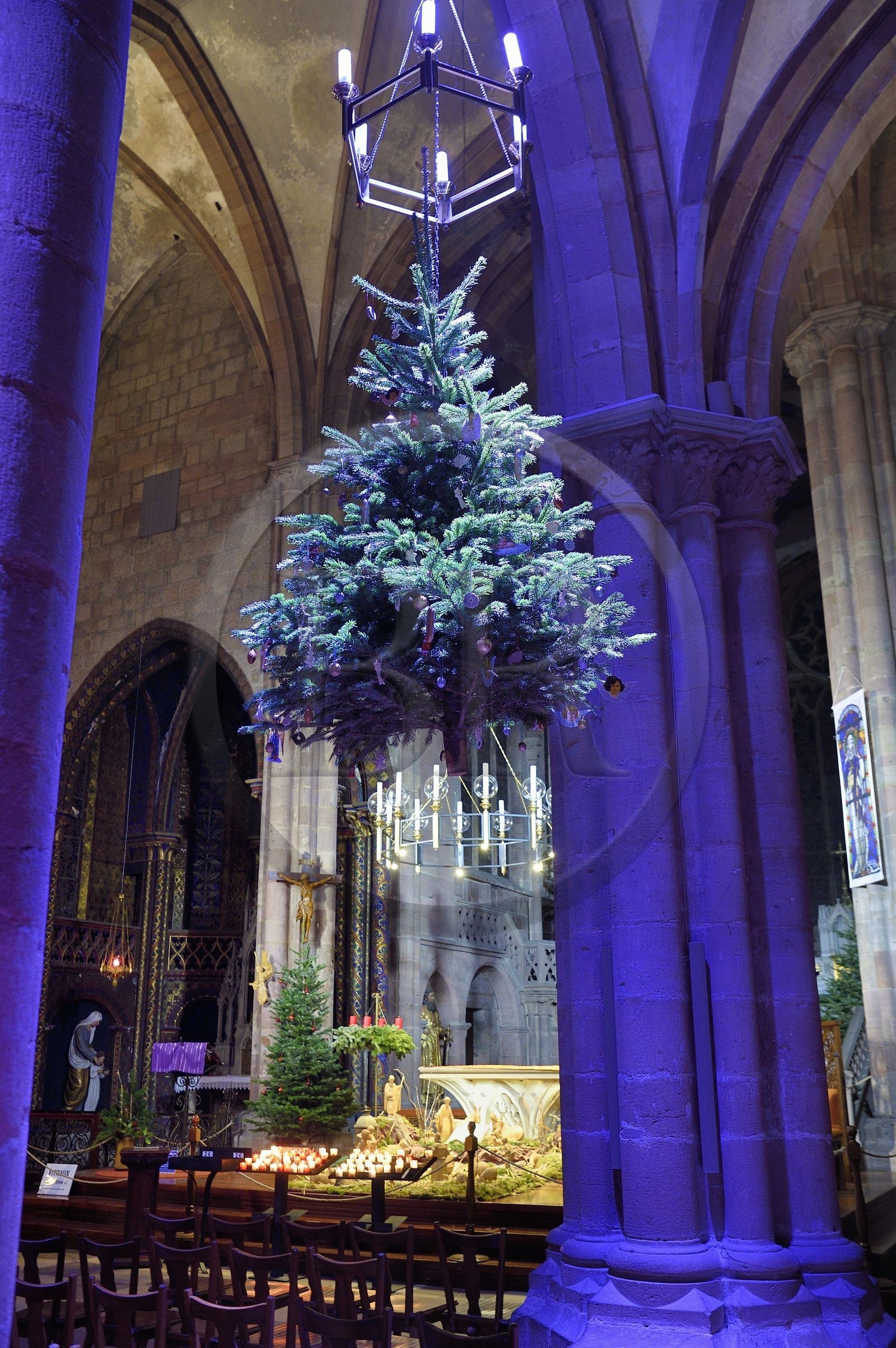 France, Bas-Rhin (67), Selestat, les sapins suspendus sous les arcs de la nef de l'église Saint-Georges sont décorés traditionnellement de pommes, bredele, boules en tenant compte d'une évolution dans le temps