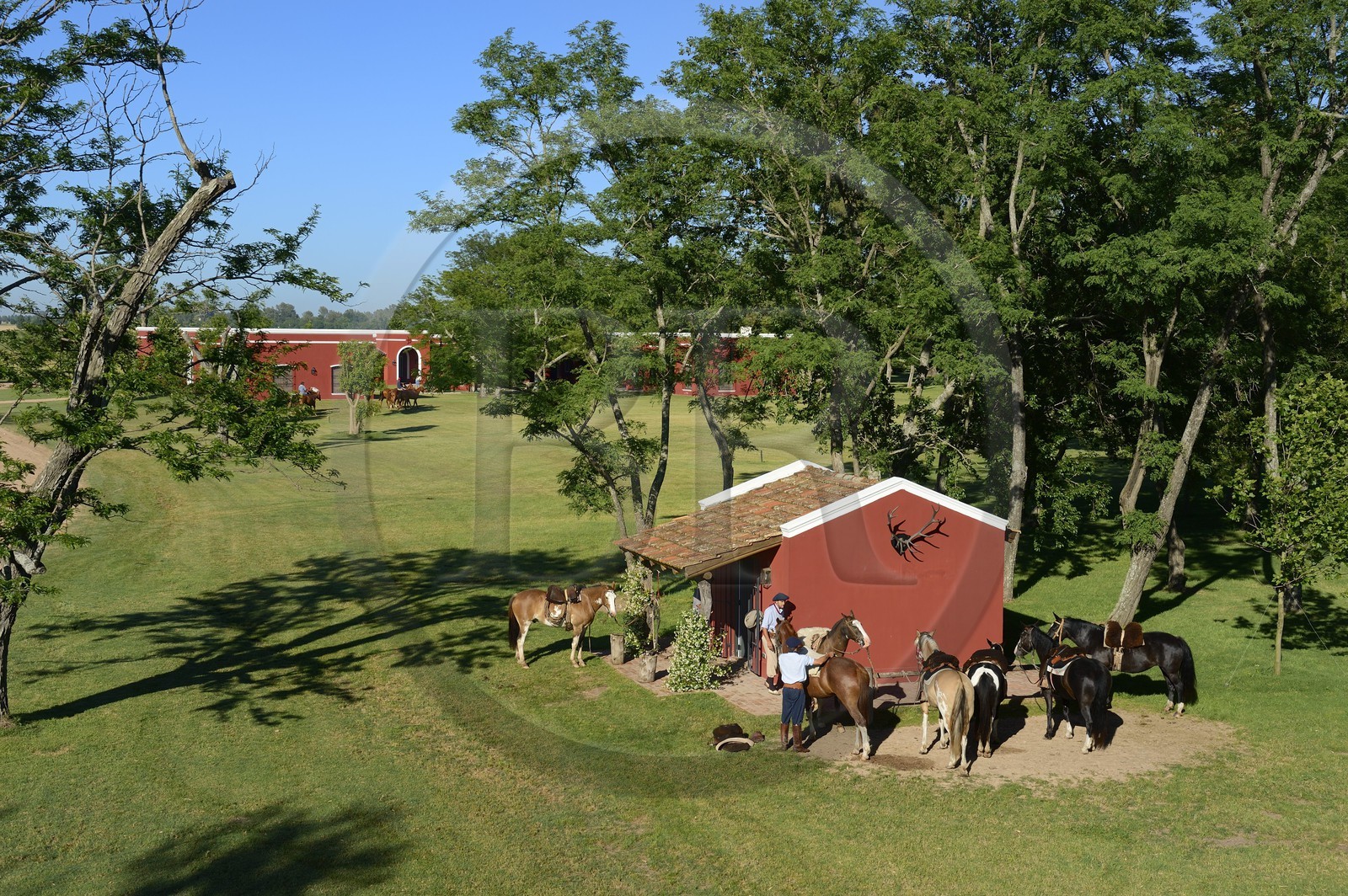 Argentine, province de Buenos Aires, San Antonio de Areco, estancia La Bamba de Areco, gauchos se préparant au départ