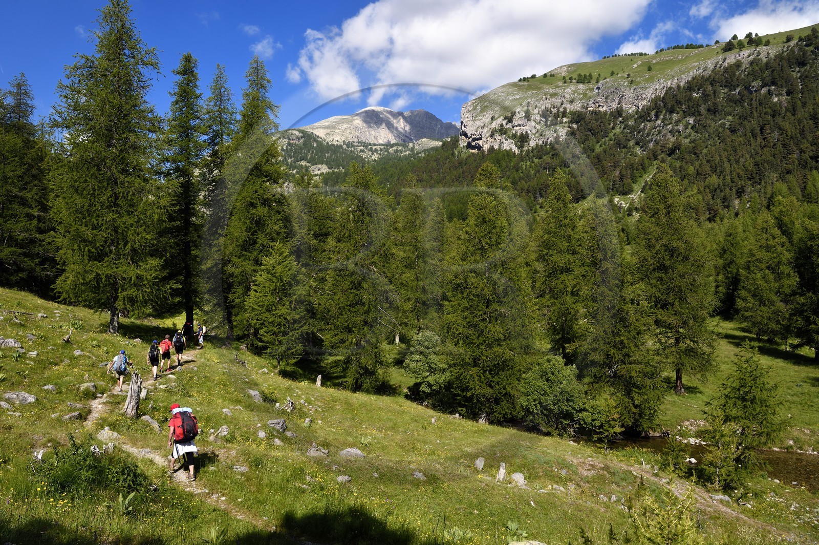 France, Alpes-Maritimes (06), parc national du Mercantour, vallon de la Minière en contrebas de la Vallée des Merveilles, sentier de randonnée vers le Mont Bégo (2872m) en arrière plan