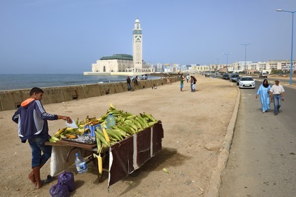 Morocco, Casablanca, street vendor of grilled corn infront the Grand Hassan II Mosque