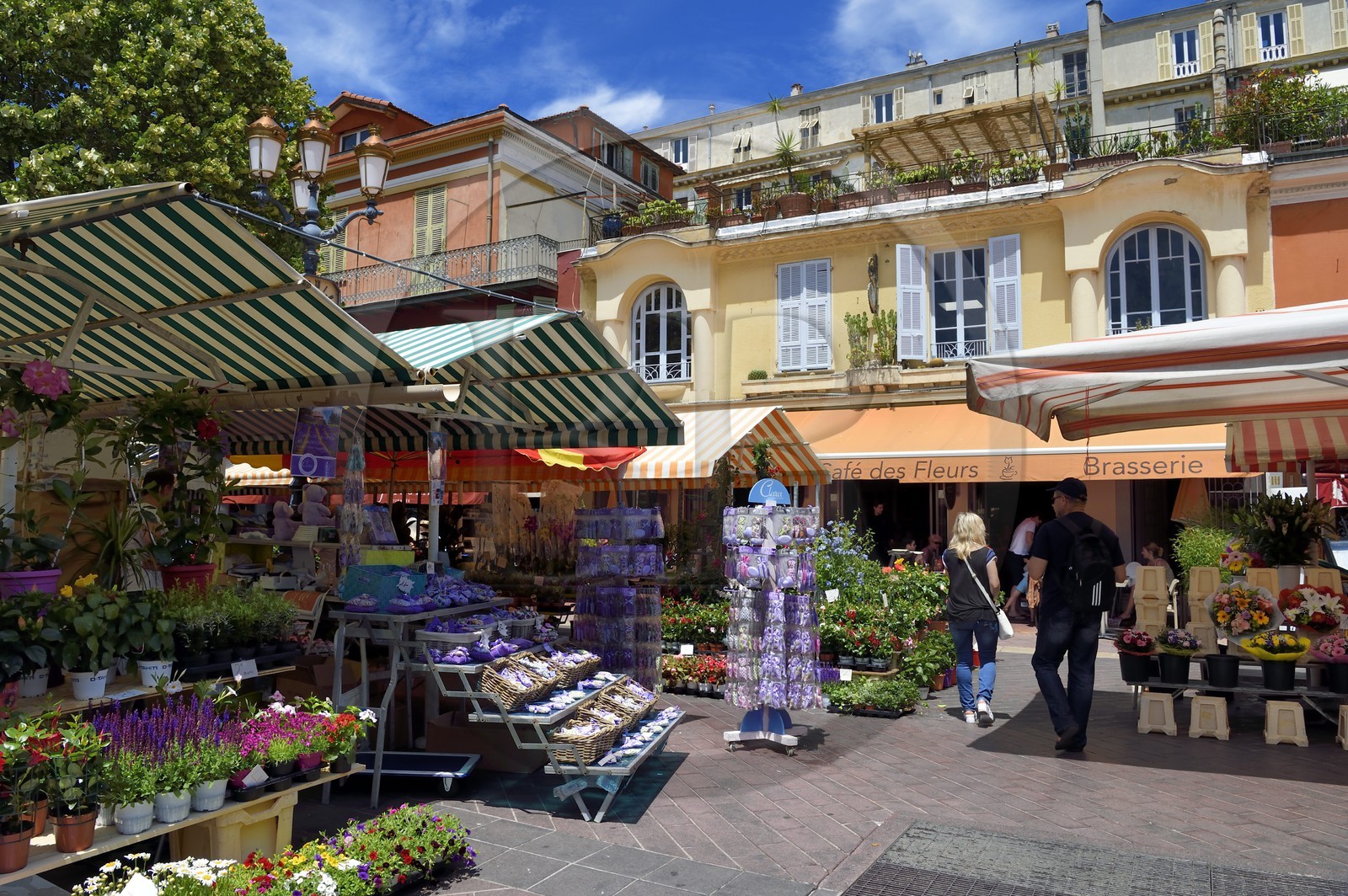 France, Alpes-Maritimes (06), Nice, vieille ville, marché du cours Saleya, marché aux fleurs