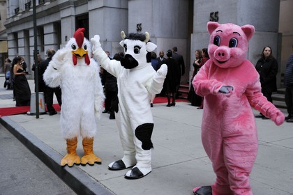 Etats-Unis, New York, Manhattan, Downtown, soirée de promotion d'un programme écologique