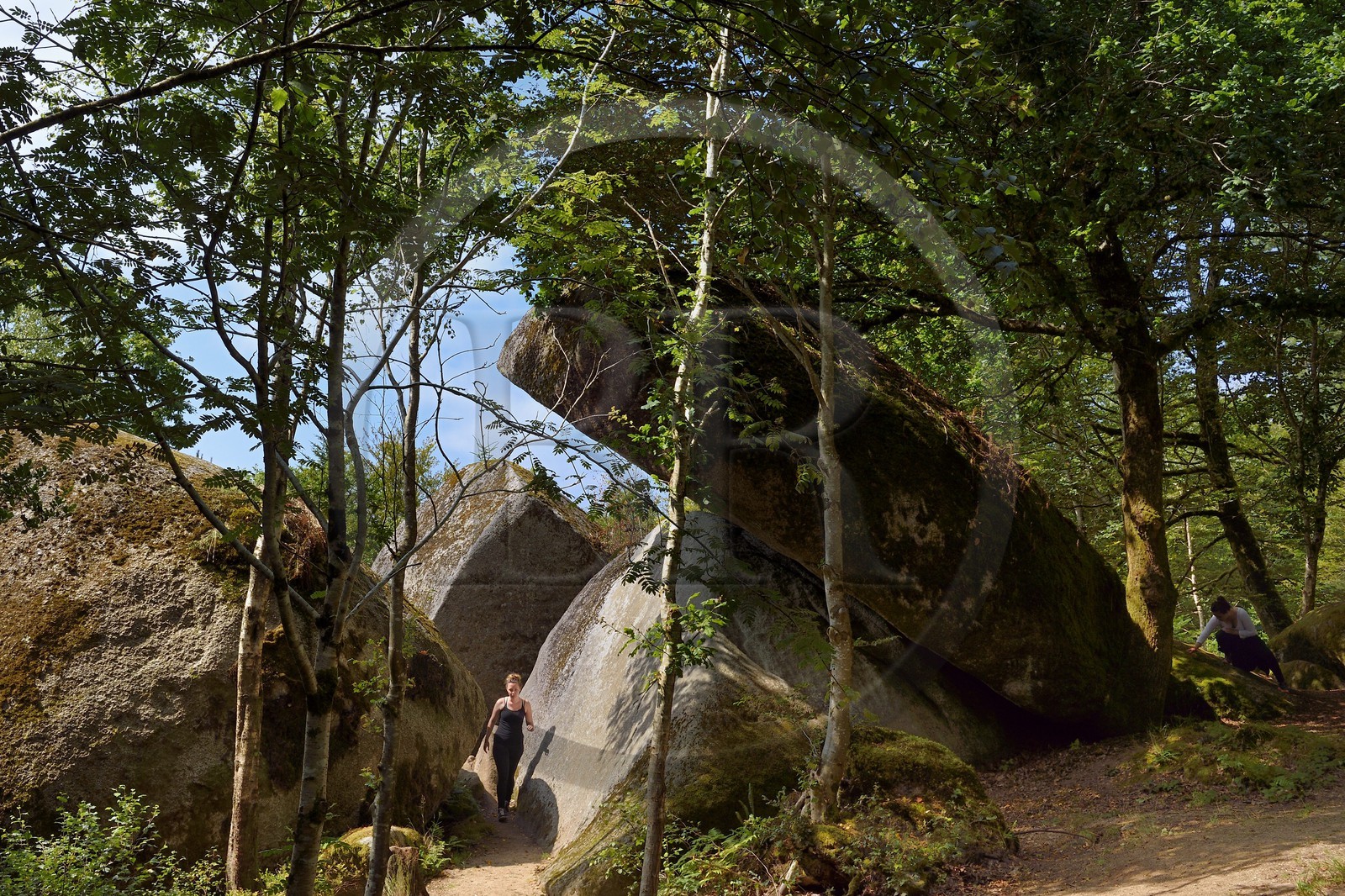 France, Finistere, Parc Naturel Regional d'Armorique (Armorique Natural Regional Park), Huelgoat, granitic chaos of the Huelgoat forest