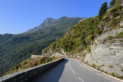 France, Haute-Corse (2B), Castagniccia, route sur les hauteurs de La Porta au pied du mont San Petrone