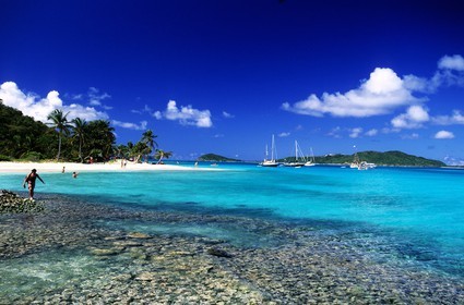 Caraïbes, Saint-Vincent et les Grenadines, archipel des Tobago Cays, plage d'une petite île inhabitée