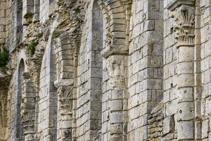 France, Vendée (85), Parc Interrégional du Marais Poitevin labellisé Grand Site de France, Maillezais, vestiges de l'abbaye Saint-Pierre de Maillezais, détail des murs de l'église abbatiale