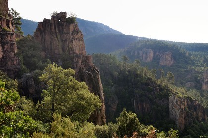 France, Var (83), entre Bagnols-en-Forêt et Roquebrune-sur-Argens, les Gorges du Blavet