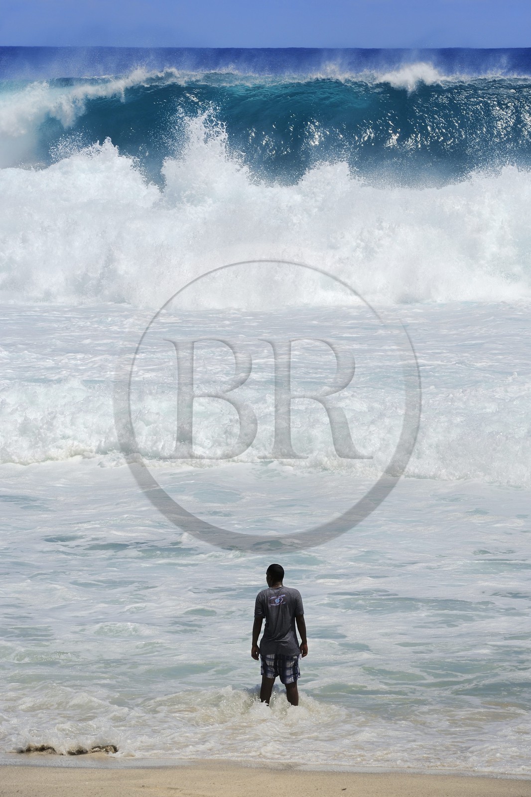 France, île de la Réunion, la côte sud, plage de Grand-Anse