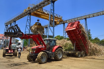 France, Ile de la Reunion, Saint-Joseph, un des 11 centres de réception et de collecte de la canne à sucre aussi appelés Balance, les tracteurs amènent depuis les champs la canne dans des remorques, elle est ensuite pesée et chargée dans de grand camions appelés cachalots pour être acheminée vers l'usine sucrière du Gol