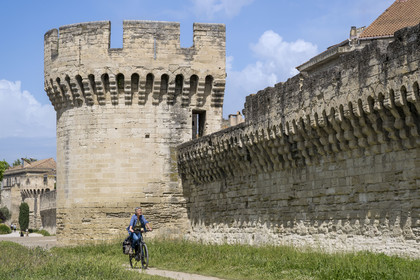 France, Vaucluse, Avignon, the ramparts on the banks of the Rhone river