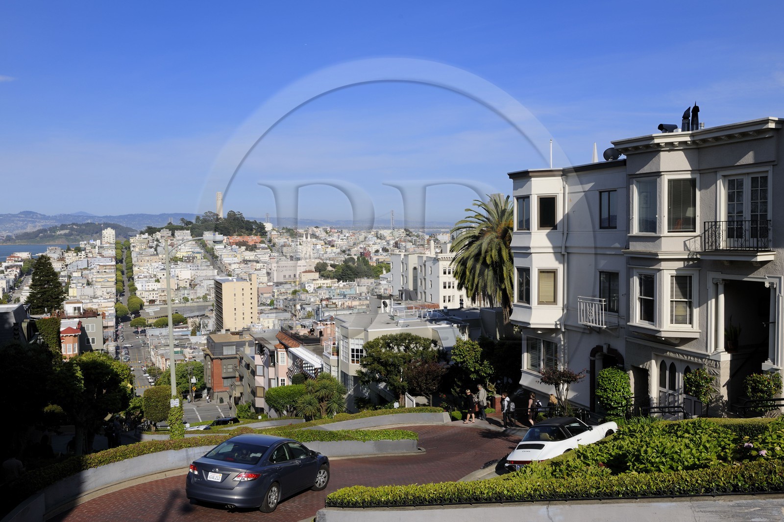 United States, California, San Francisco, Lombard Street from the district of Russian Hill, North Beach and the Coit Tower to Telegraph Hill in the background