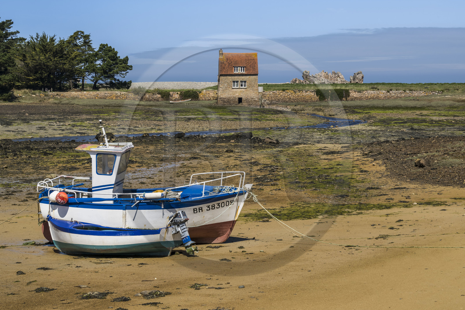 France, Côtes-d'Armor (22), Côte d'Ajoncs, Penvénan, moulin à marée de l'Ile Balanec à marée basse