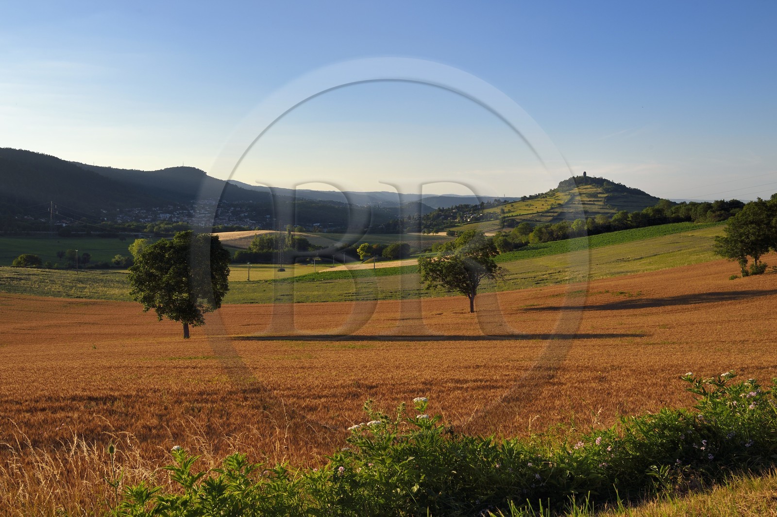 France, Puy-de-Dôme (63), Ceyrat, champ de blé et Chateau de Montrognon en arrière plan