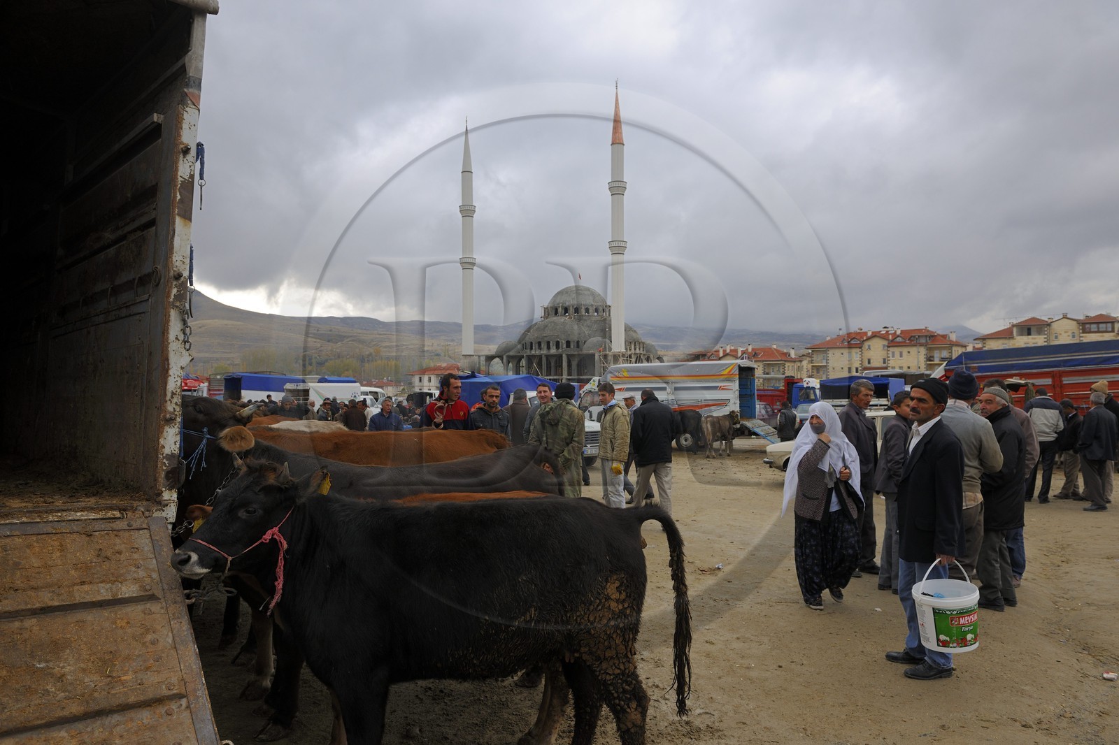 Turquie, Anatolie Centrale, province de Nevsehir, Cappadoce classée Patrimoine Mondial de l'UNESCO, marché aux bestiaux d' Ürgüp