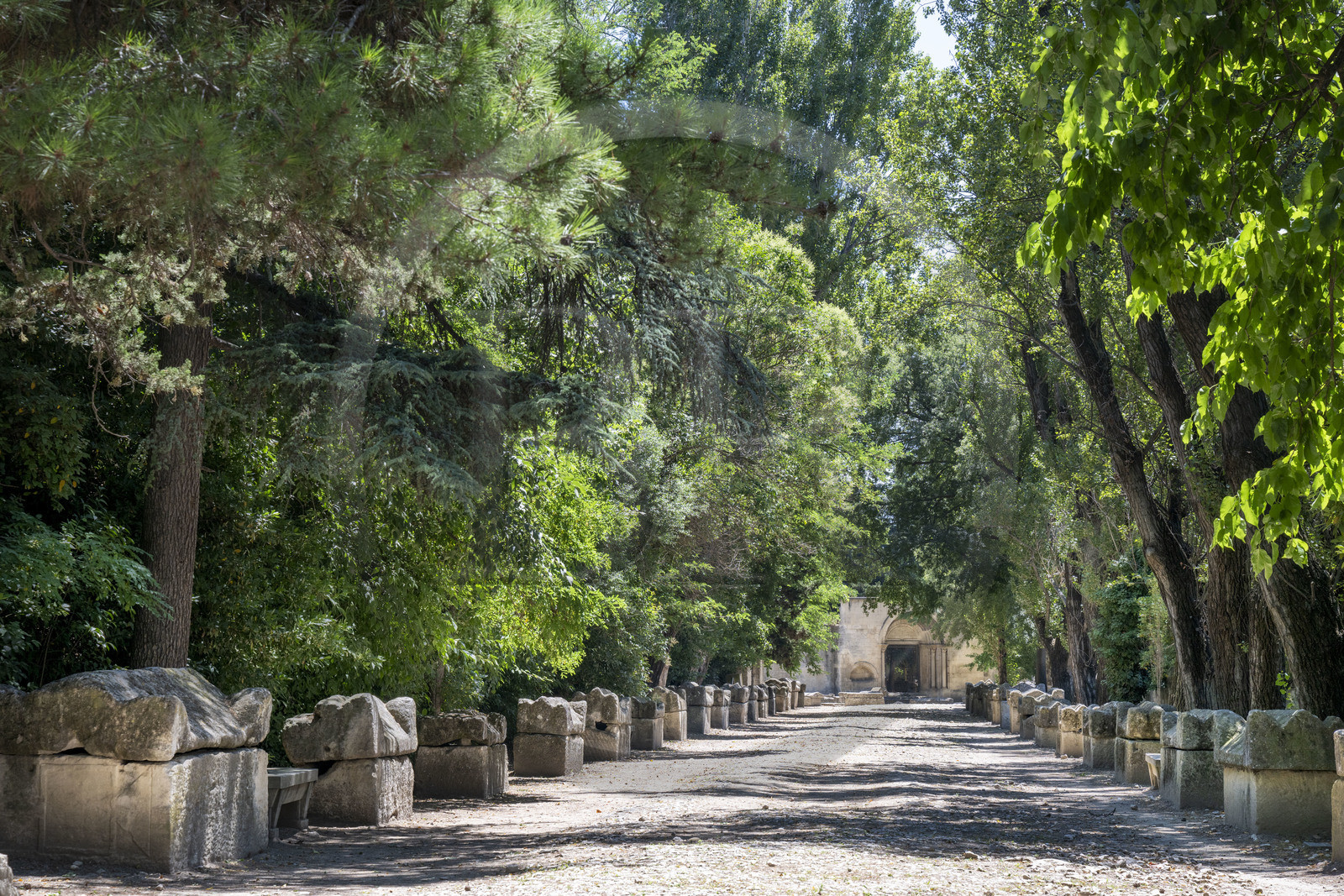 France, Bouches-du-Rhône (13), Arles, les Alyscamps, site classé Patrimoine Mondial de l'UNESCO, nécropole païenne puis chrétienne de l'époque romaine au Moyen Age, comprenant de très nombreux sarcophages