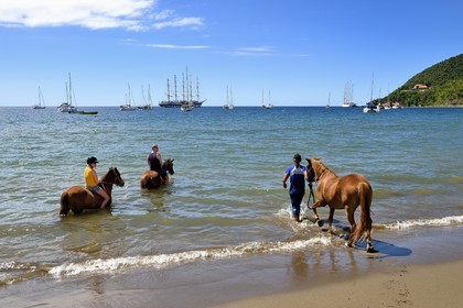 Caraïbes, Ile de la Dominique, Portsmouth, la baie de Prince Rupert, randonnée équestre sur la plage avec un passage dans la mer des Caraïbes