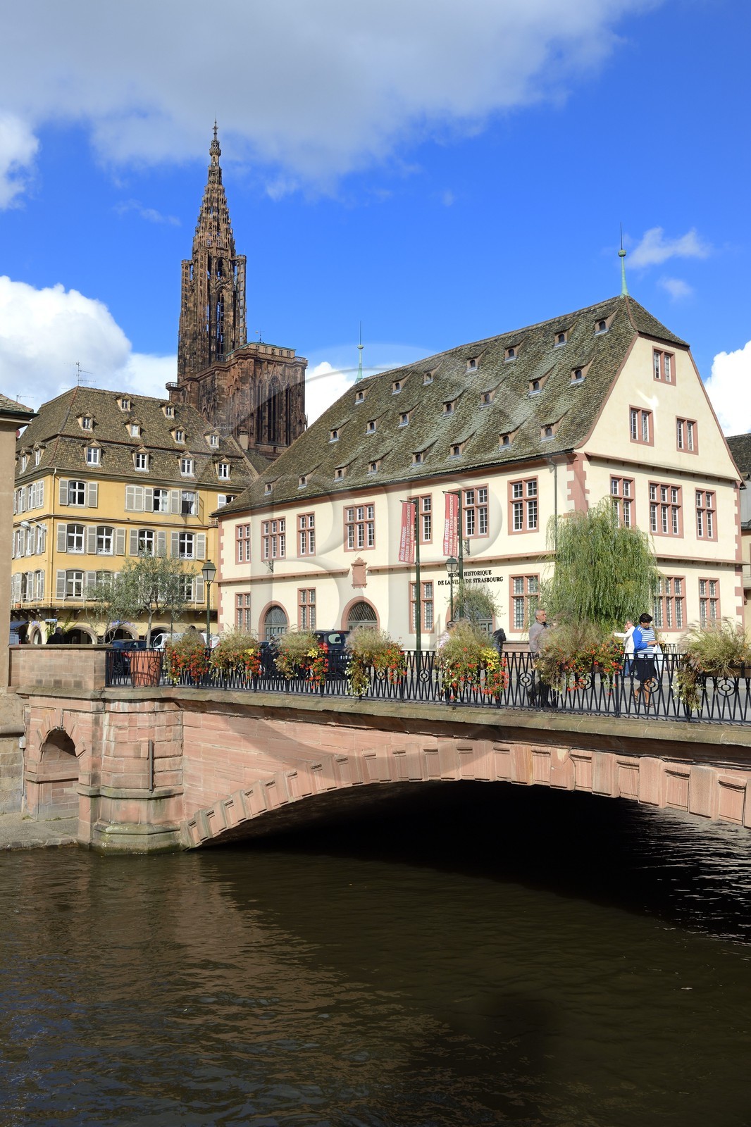 France, Bas-Rhin (67), Strasbourg, vieille ville classée au Patrimoine Mondial de l'UNESCO, la cathédrale Notre-Dame et le musée Historique sur les bords de l'Ill
