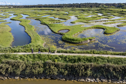 France, Vendée (85), Talmont-Saint-Hilaire, marais de la Guittière dans l'arrière pays de la Pointe du Payré, passage du Cul d’Ane, marais aménagés pour la pisciculture de dorades, mulets et anguilles (vue aérienne)