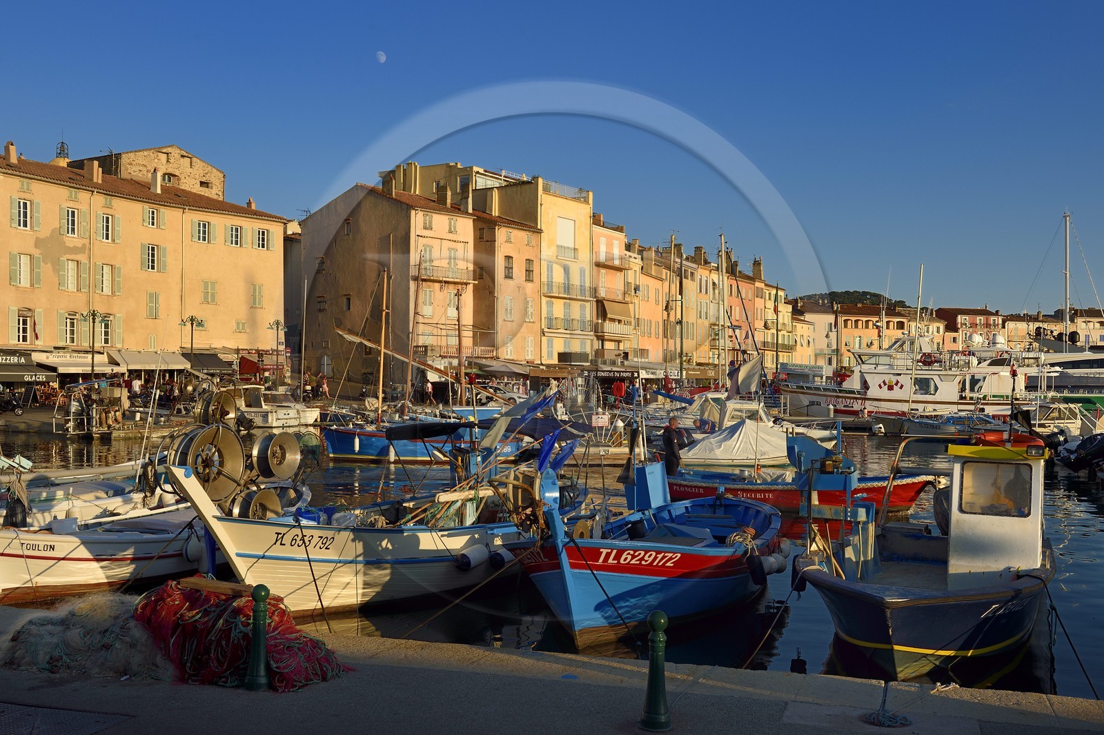 France, Var (83), Saint-Tropez, pointus (barques de pêche traditionnelles) dans le vieux port