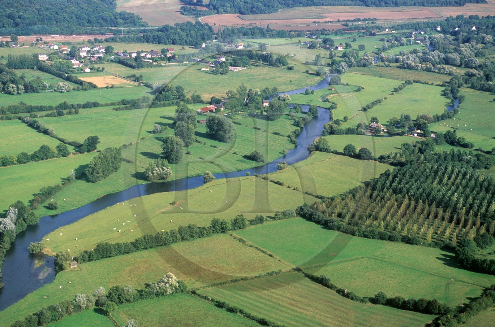 France, Eure (27), le rivière Risle vers Montfort-sur-Risle (vue aérienne)