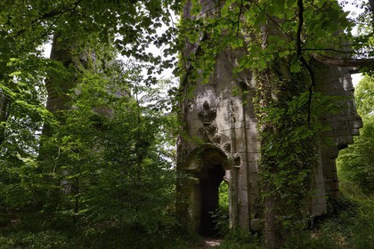France, Finistere, Pont-Aven, Nizon, Rustephan castle, former manor house of the fifteenth and sixteenth century ruin