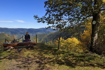 France, Haut Rhin, Ballons des Vosges Regional Natural Park, Storckensohn, La Tete des Perches mountain, the chaume de Gazon vert (extensive altitude grazing), view of the Storckensohn valley west of Fellering