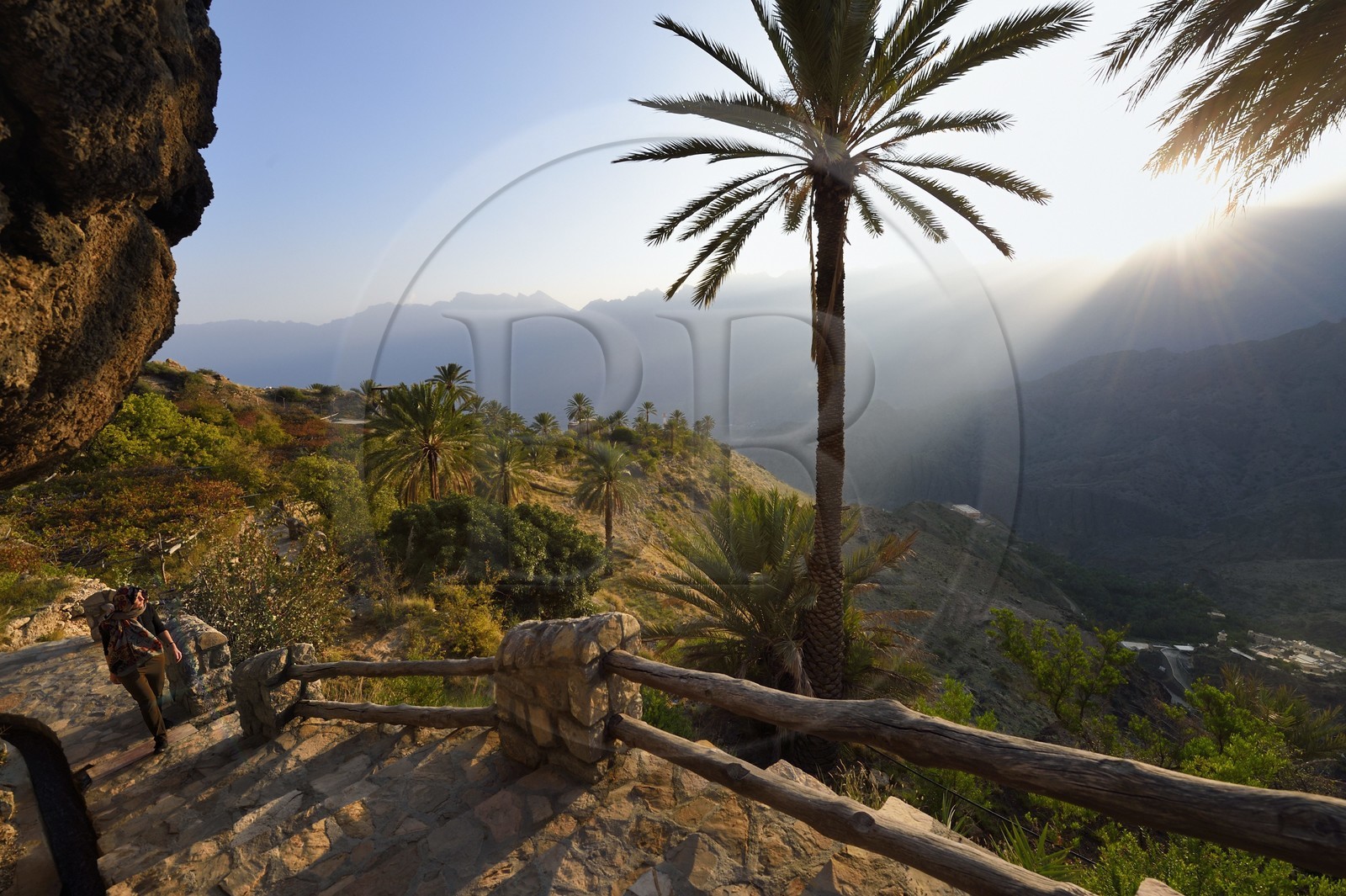 Sultanate of Oman, South Batinah Governorate, Western Hajar, Wadi Mistall, Wakan (Wukan) village, the hiking trail comprising 700 steps climbs through terraced gardens and along irrigation canals
