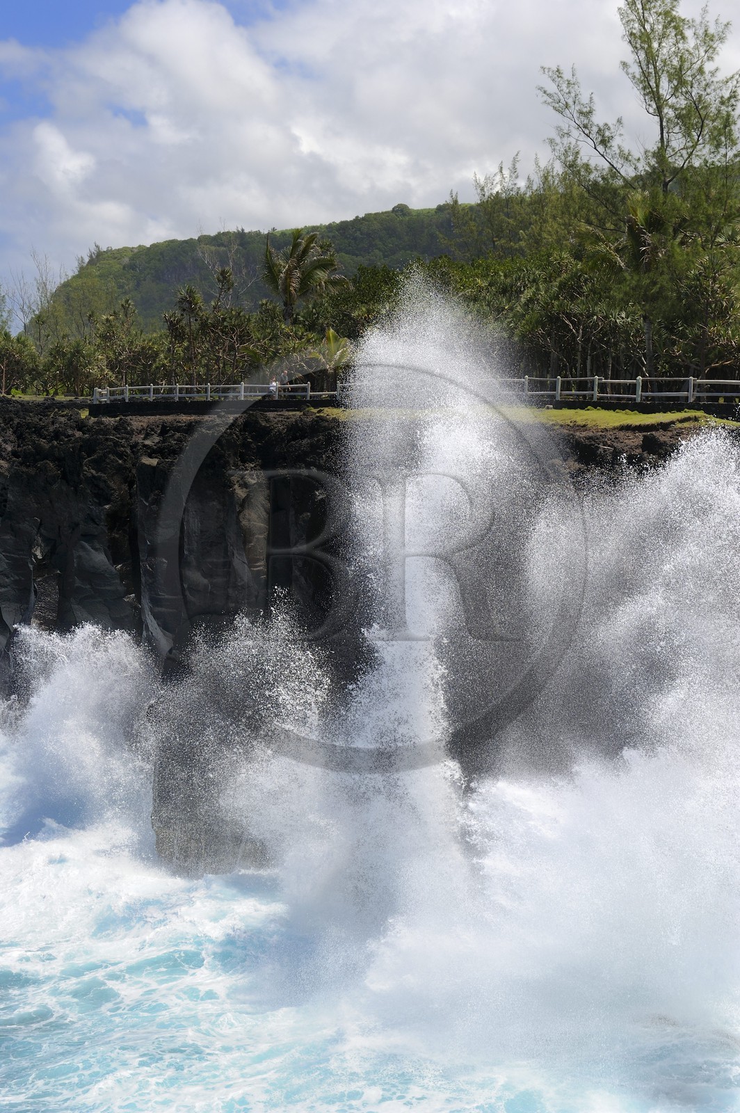 France, Ile de la Reunion, côte sud, Saint-Philippe, le Cap Méchant est situé le long d'une côte déchiquetée de roche volcanique frappée par la houle et typique de la région appelée Sud sauvage
