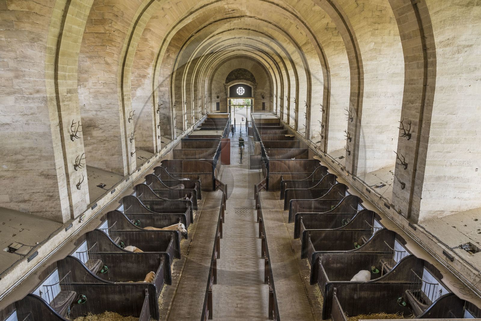France, Oise (60), Chantilly, le chateau de Chantilly, les Grandes Ecuries, musée du Cheval, les deux nefs accueillent des stalles pour les chevaux