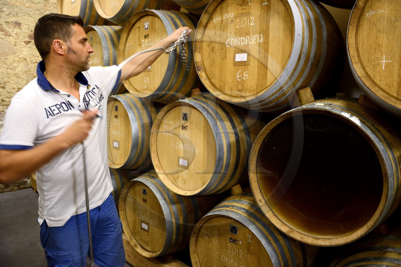 France, Loire (42), Parc Naturel Régional du Pilat, le domaine du Monteillet Stéphane Montez, Stéphane Montez dans sa cave