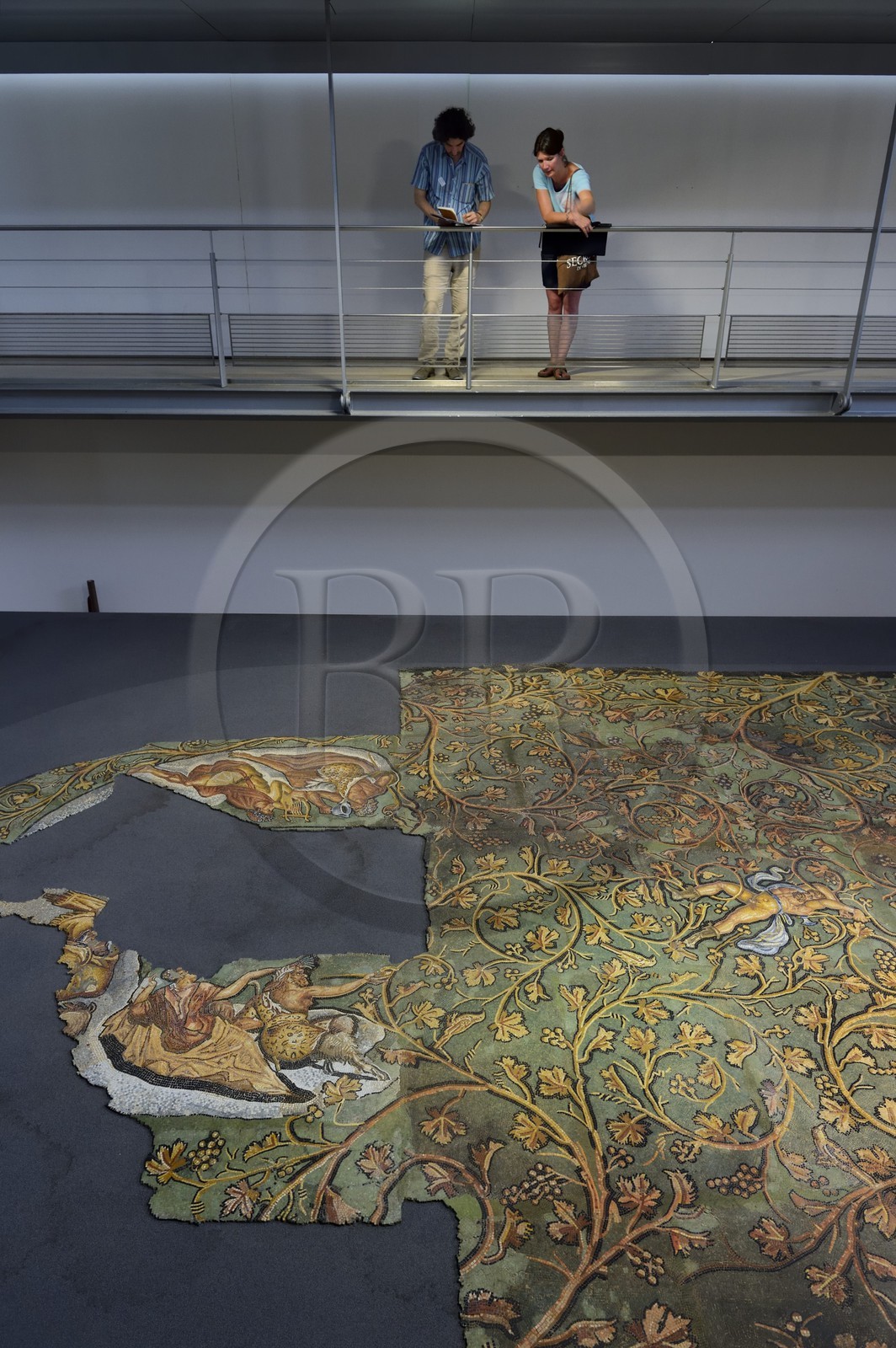 France, Rhone, Lyon, Saint Romain en Gal, Gallo-Roman Museum of Saint-Romain-en-Gal, Punishment of Lycurgus mosaic dating from the 2nd century AD