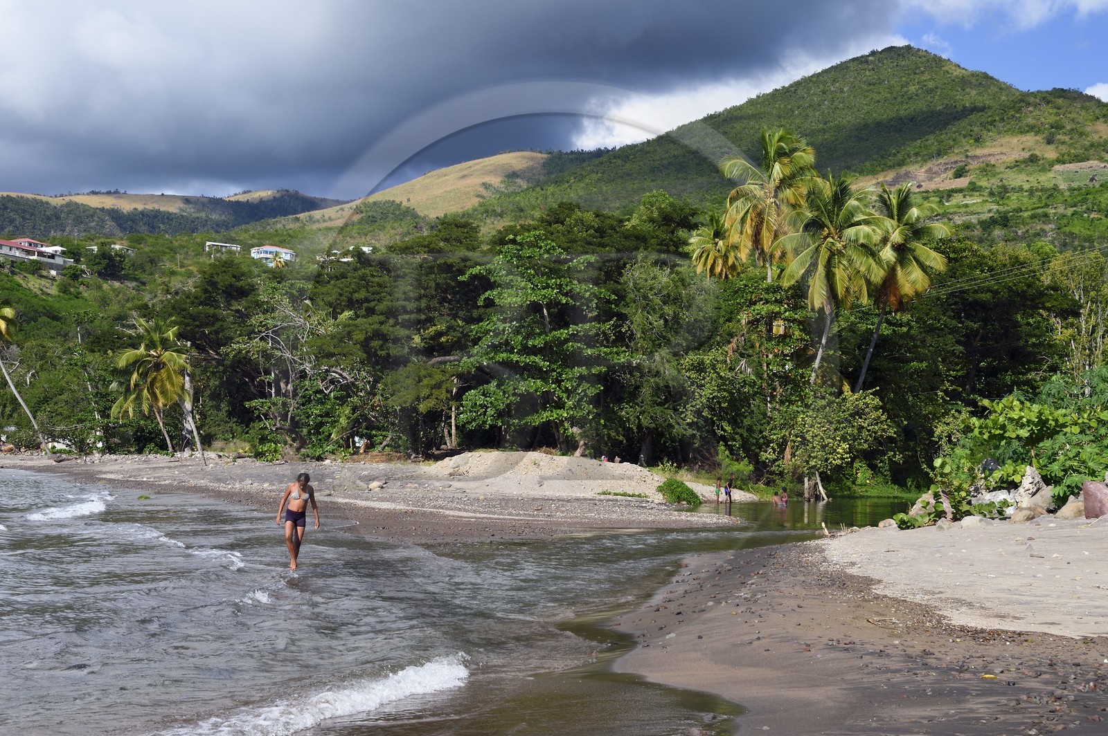 Caraïbes, Ile de la Dominique, Coulibistrie, Batalie Beach et estuaire de la rivière Coulibistrie