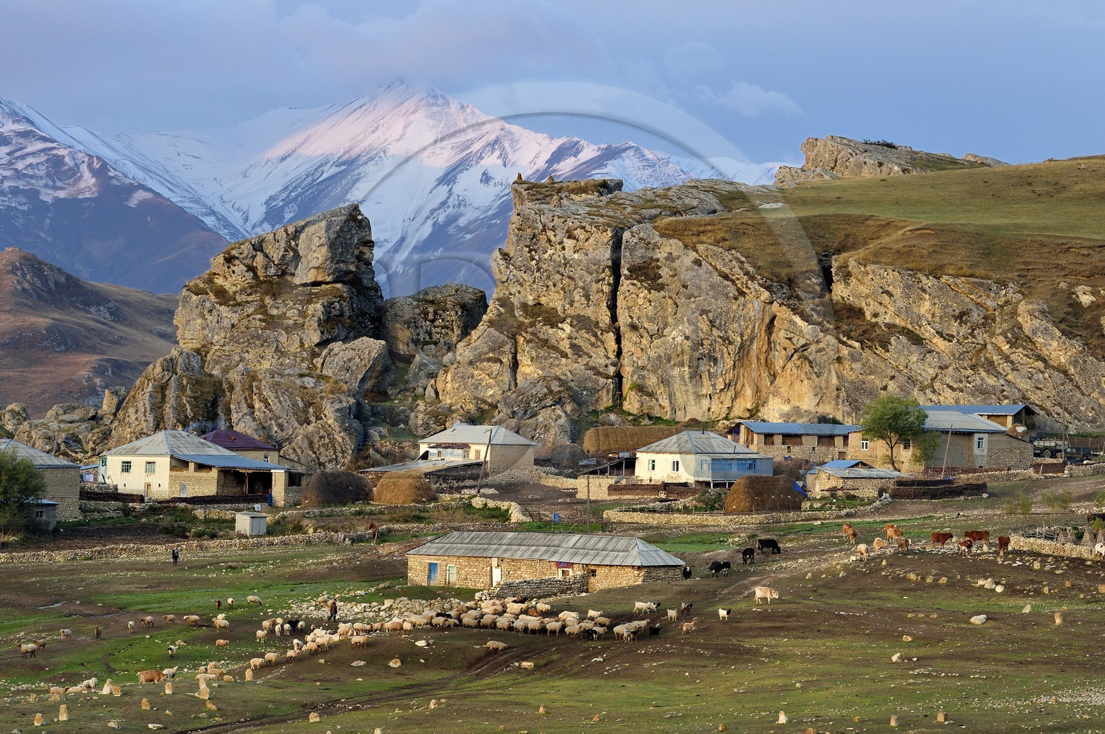 Azerbaijan, Quba (Guba) region, Greater Caucasus mountain range, village of Giriz at dawn, departure of sheep for the meadows