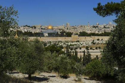Israel, Jérusalem, ville sainte, vieille-ville classée Patrimoine Mondial de l'UNESCO, le Dôme du Rocher sur l'esplanade des Mosquées (Haram el-Sharif) vu depuis le Mont des Oliviers