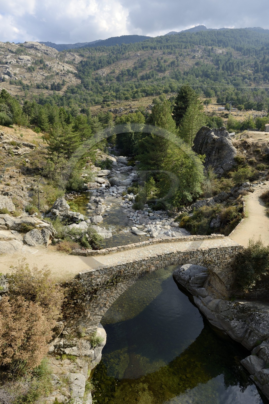France, Haute Corse, Niolu (Niolo) region, Genoese bridge Ponte Altu over the Golo river