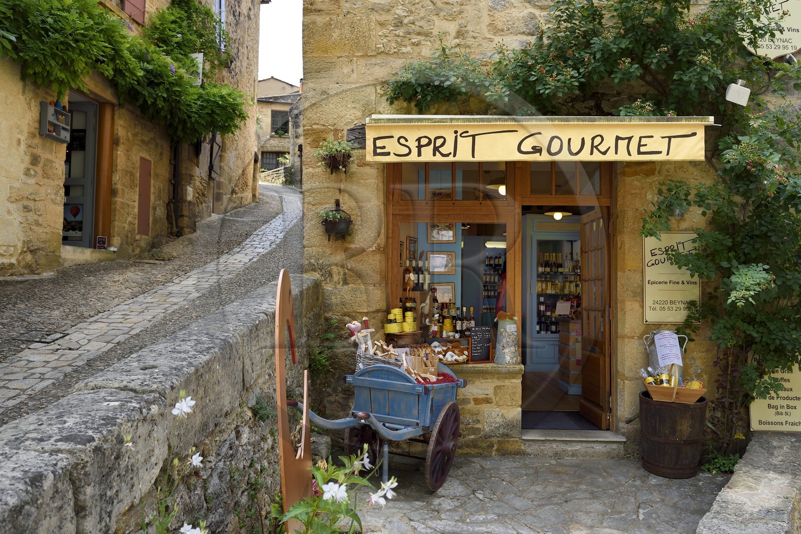 France, Dordogne (24), Périgord Noir, vallée de la Dordogne, Beynac-et-Cazenac, labellisé Les Plus Beaux Villages de France, rue Tibal Lo Garel