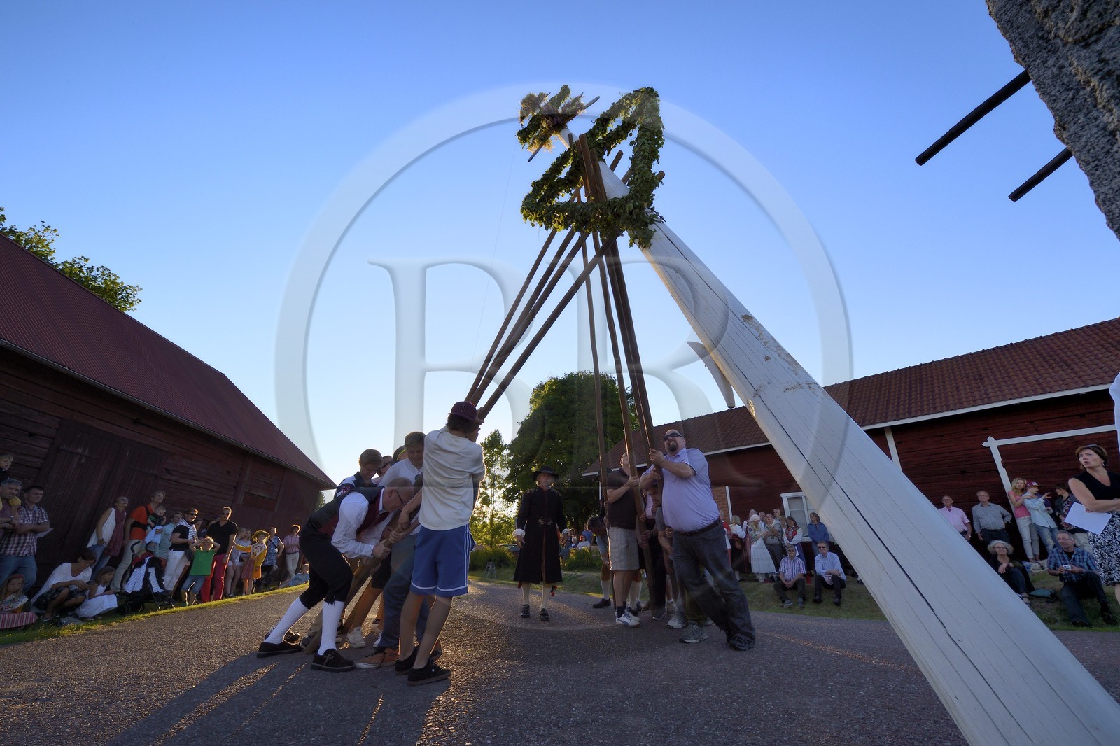 Suède, comté de Dalécarlie, région de Leksand, célébrations du solstice d'été dans le petit hameau de Hjulbäck, levée du mât de l'arbre de mai