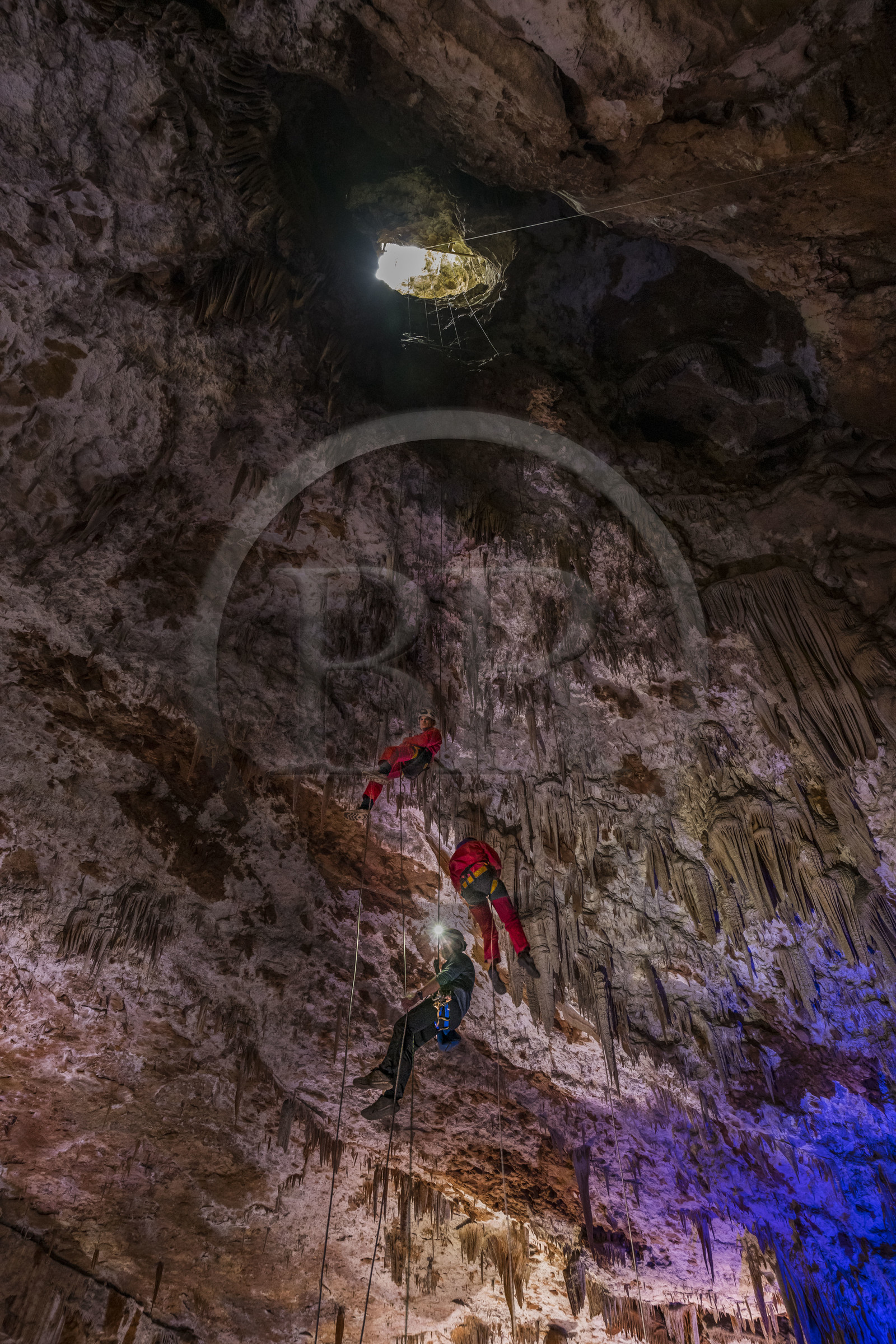 France, Gard (30), Méjannes-le-Clap, grotte de La Salamandre, descente en rappel et découverte de la grotte