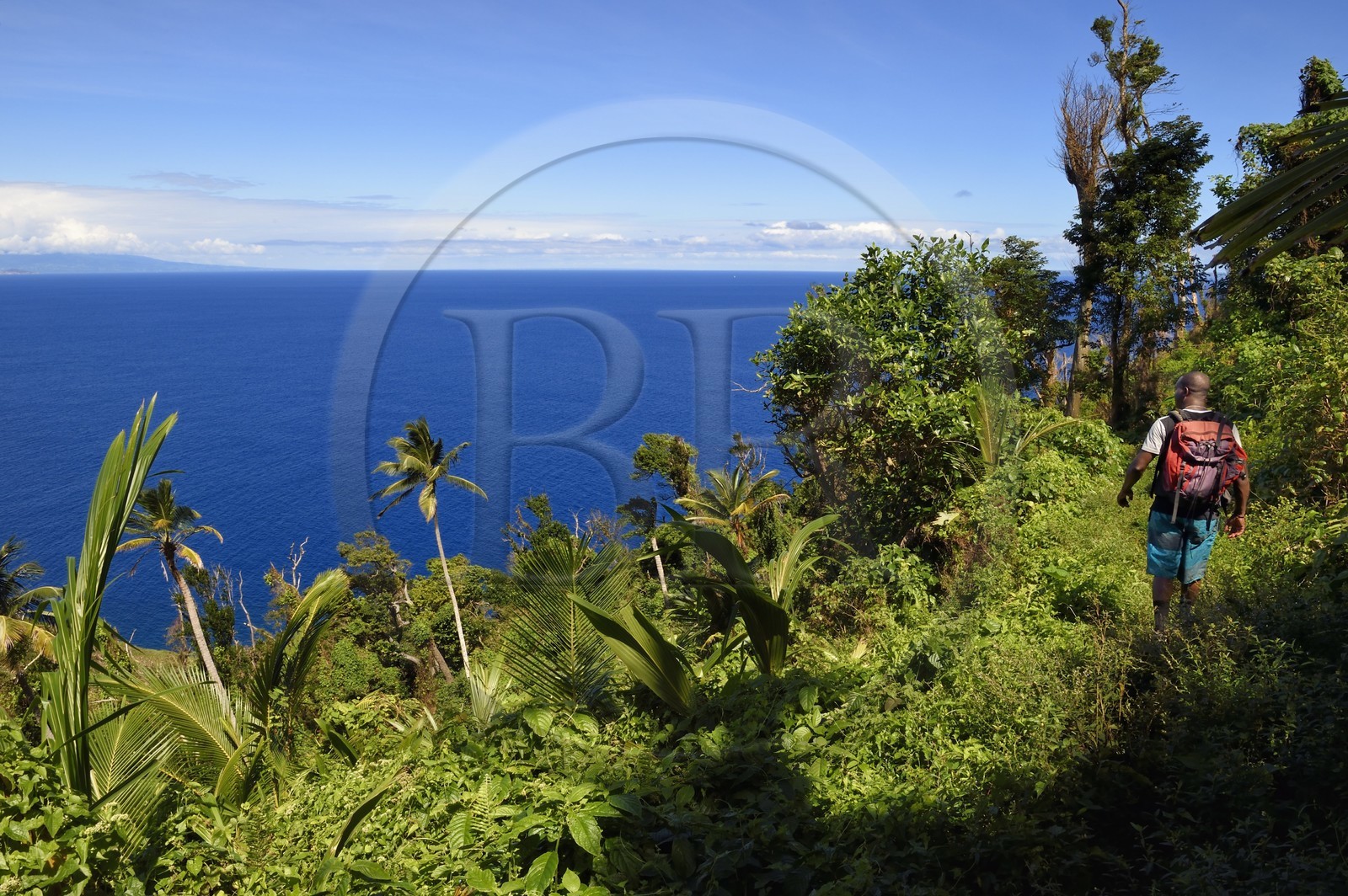 Caribbean, Dominica Island, hiker on segment 13 of the Waitukubuli National Trail in the north of the island between Pennville and Capuchin