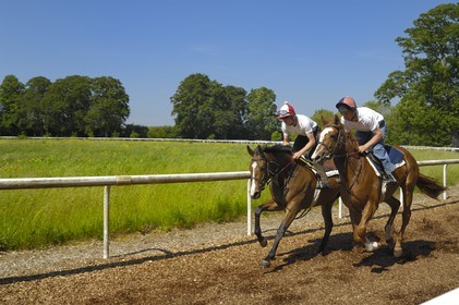 Irlande, Co. Kildare, Maynooth, harras de Moyglare (Stud), entrainement des chevaux