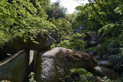 France, Finistere, Parc Naturel Regional d'Armorique (Armorique Natural Regional Park), Huelgoat, granitic chaos of the Huelgoat forest, place called The Virgin household (Le Menage de la Vierge)