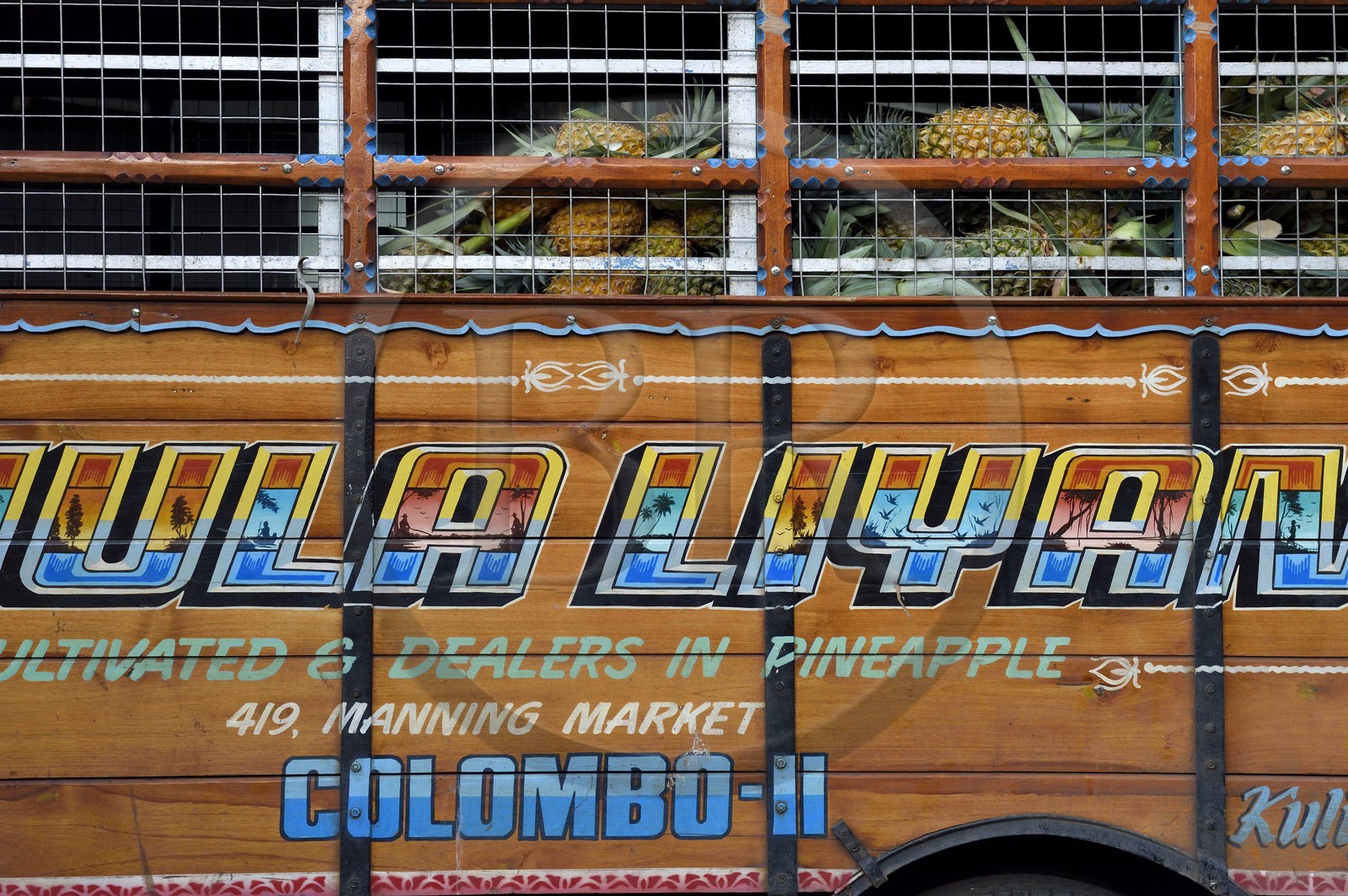 Sri Lanka, Western Province, Colombo District, Colombo, Manning fruits and vegetables market in Pettah district