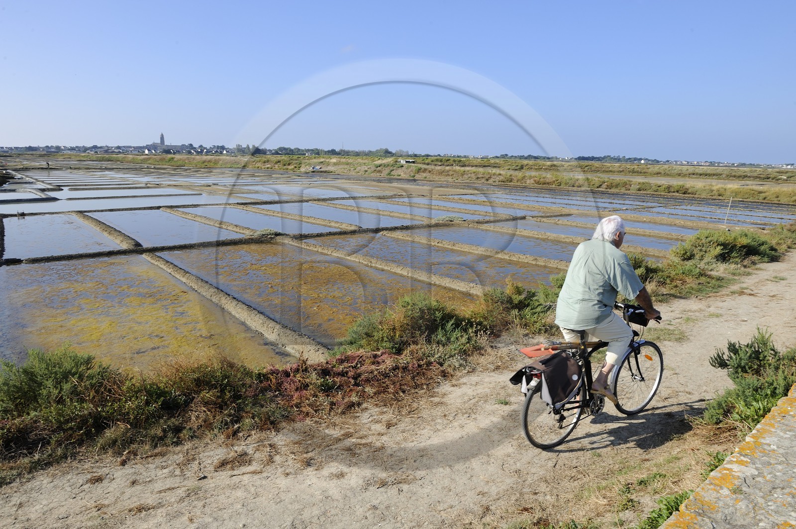 France, Loire-Atlantique (44), la Presqu'île de Guérande, les marais salants