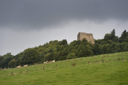 France, Meurthe-et-Moselle, Saintois region, colline de Sion-Vaudemont (hill of Sion), vestiges of the dungeon also called the Tower of Brunehault at Vaudemont