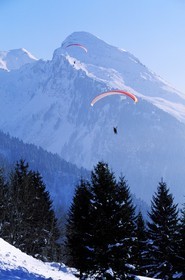 France, Haute Savoie, les Portes du soleil (doors of the sun) area wintertime, paragliding above Morzine