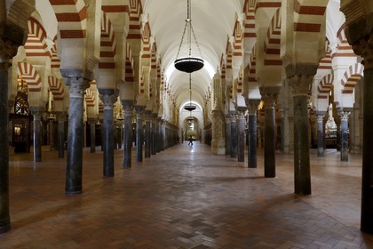 Espagne, Andalousie, Cordoue, centre historique classé Patrimoine Mondial de l'UNESCO, la Mezquita, mosquée-cathédrale, la forêt d'arcs et de colonnades illustre la monumentalité de l'Art omeyyade de Cordoue